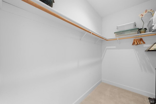 walk in closet with carpet