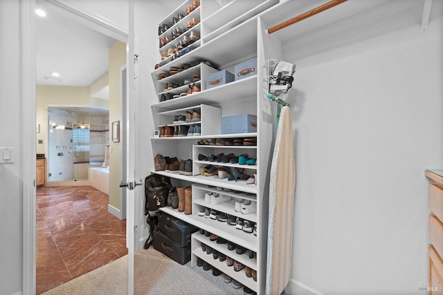 view of walk in closet