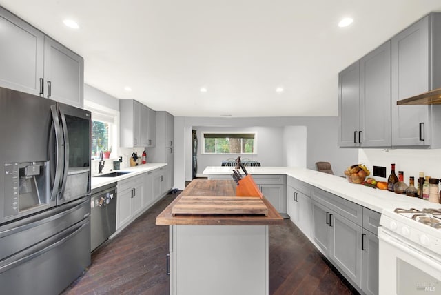 kitchen featuring gray cabinets, appliances with stainless steel finishes, wood counters, sink, and dark wood-type flooring