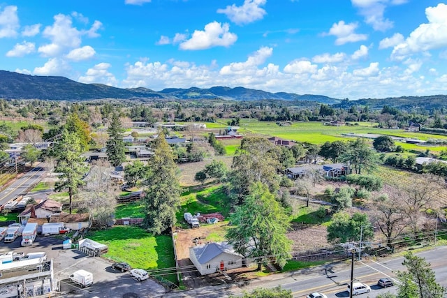 drone / aerial view featuring a mountain view