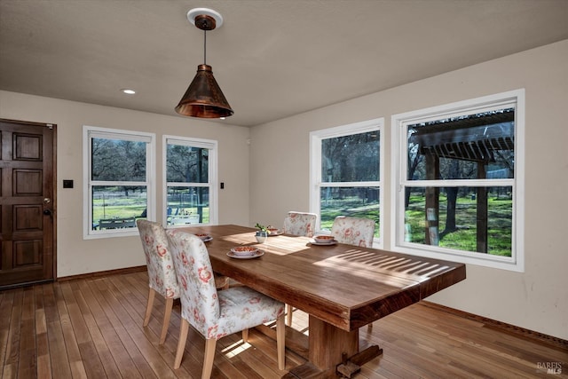 dining space featuring wood-type flooring