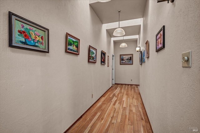 hall with hardwood / wood-style flooring