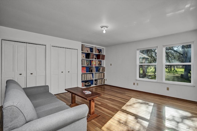 living room with hardwood / wood-style flooring