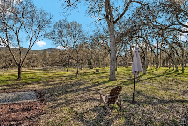 view of yard featuring a mountain view