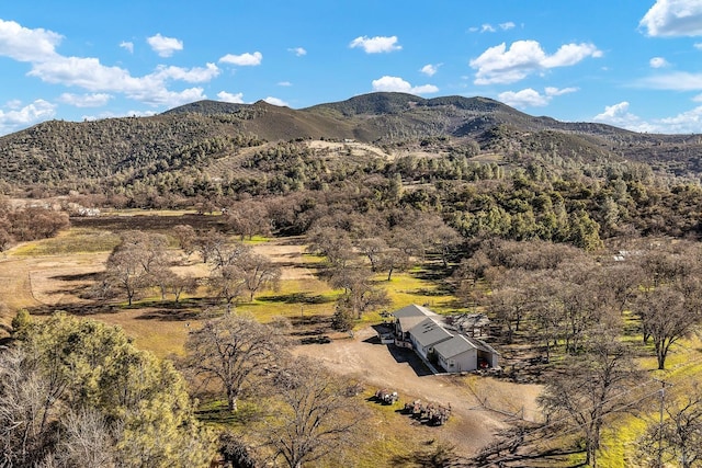 property view of mountains