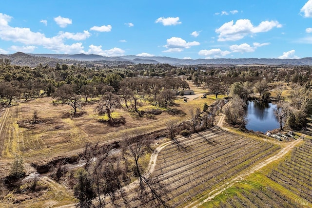 drone / aerial view featuring a water and mountain view and a rural view