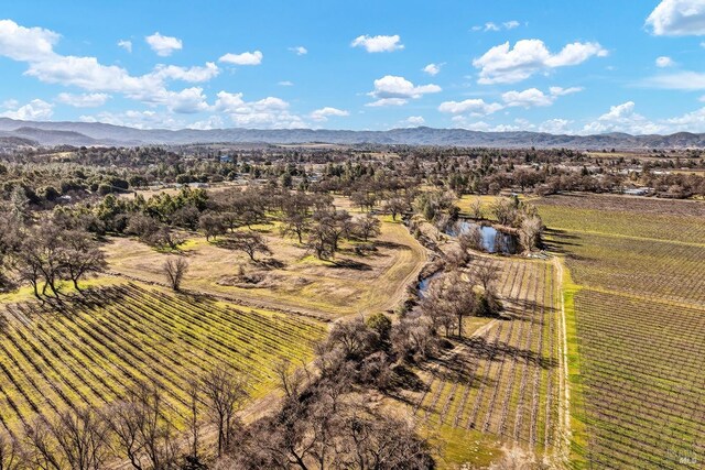 bird's eye view with a mountain view and a rural view