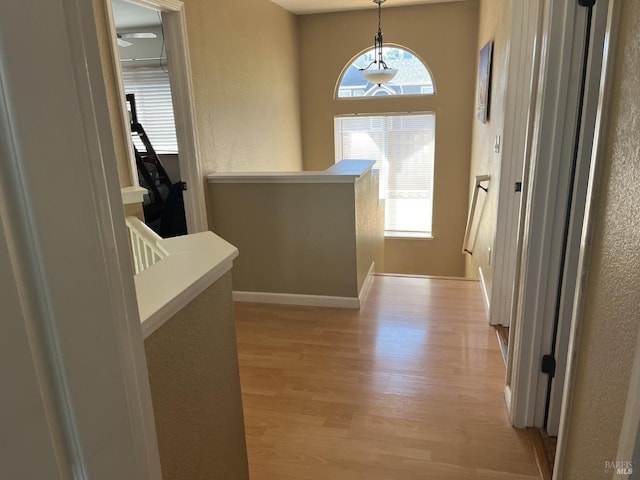 hallway featuring plenty of natural light and light wood-type flooring