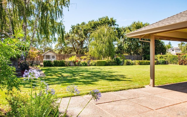 view of yard with a patio area