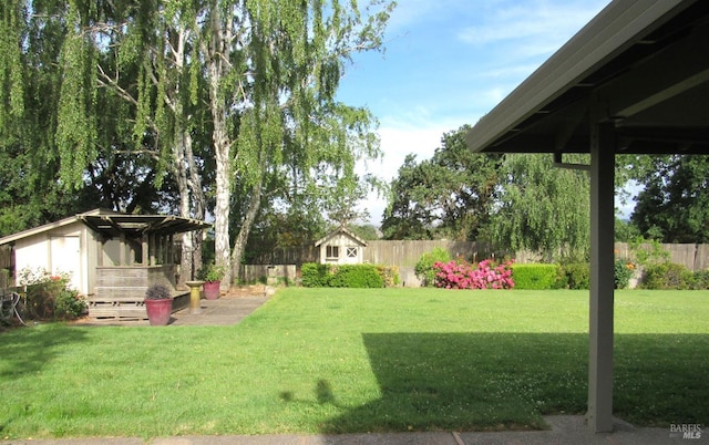 view of yard featuring a storage unit