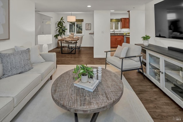 living room with sink and hardwood / wood-style floors