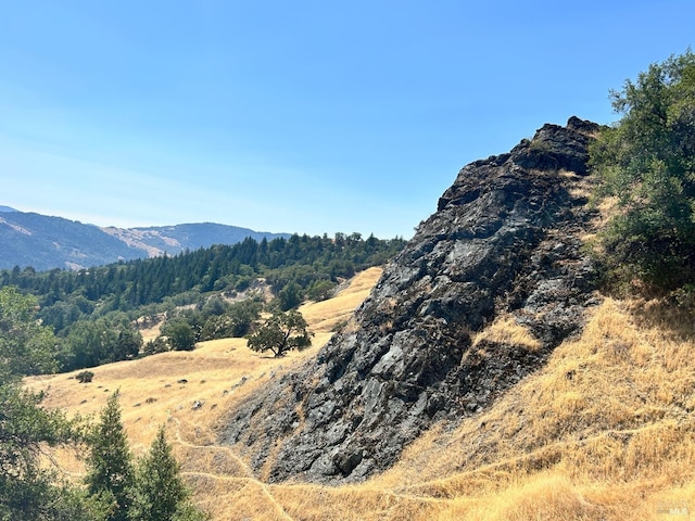 view of mountain feature