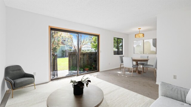 kitchen with light colored carpet, appliances with stainless steel finishes, white cabinetry, and light countertops