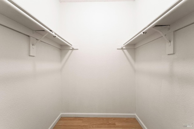 walk in closet featuring wood-type flooring