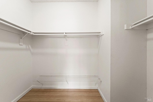 spacious closet with wood-type flooring