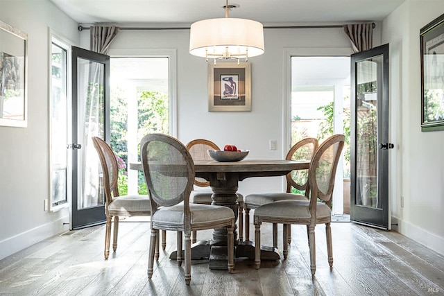 dining room featuring french doors, plenty of natural light, and hardwood / wood-style floors