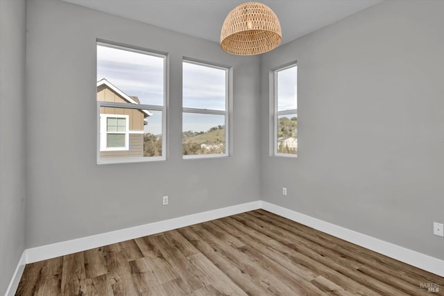 spare room featuring wood-type flooring