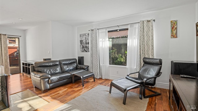 living room featuring hardwood / wood-style floors