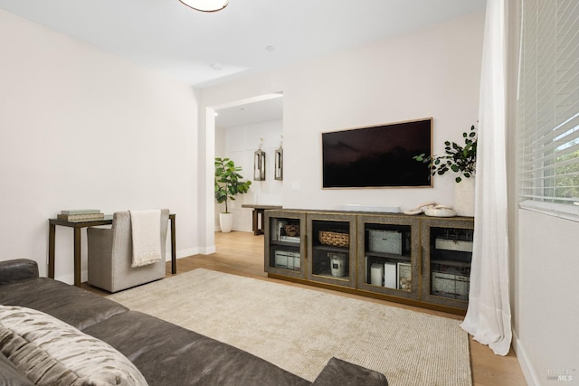 living room featuring light hardwood / wood-style flooring