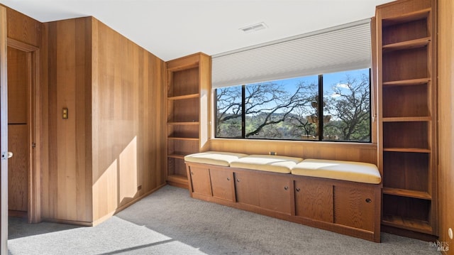 bathroom featuring wooden walls