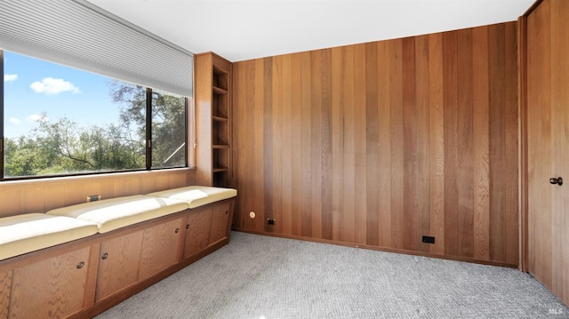 bathroom featuring wooden walls