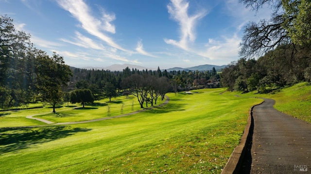 view of property's community with a mountain view and a yard