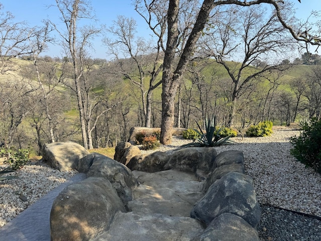 view of yard featuring a forest view