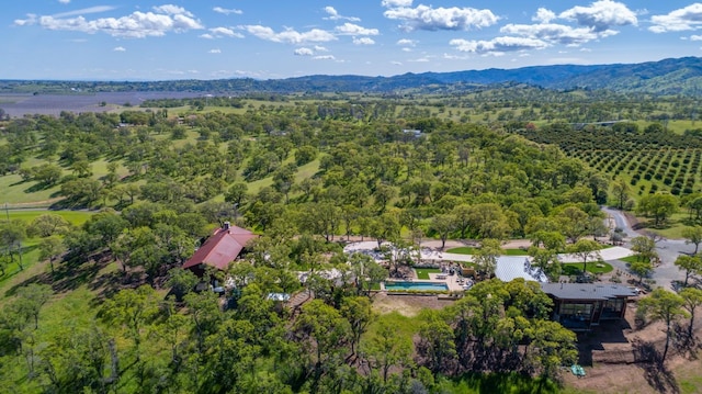 aerial view with a mountain view and a forest view