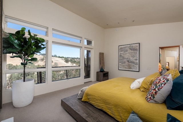 carpeted bedroom featuring access to exterior and multiple windows