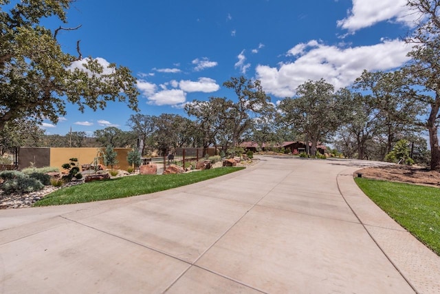 view of street with concrete driveway