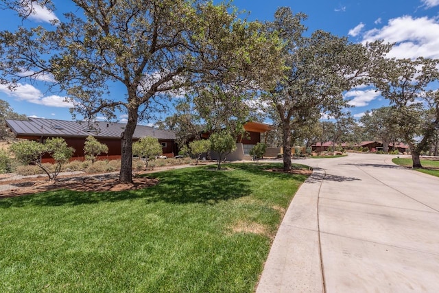 view of yard with concrete driveway