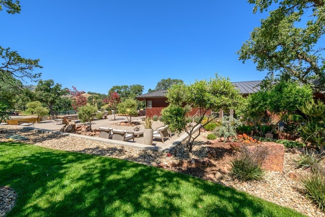 view of yard with a patio area