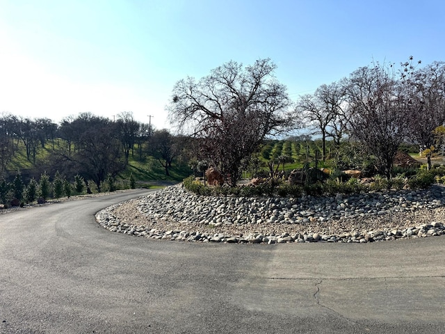 view of property's community featuring driveway