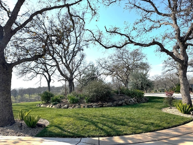 view of property's community with a lawn