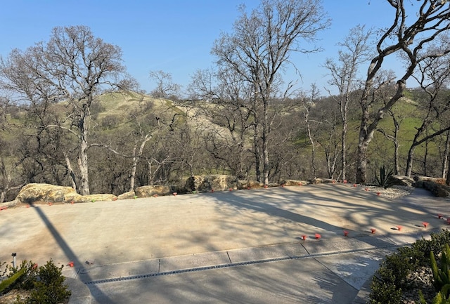 view of yard with a forest view