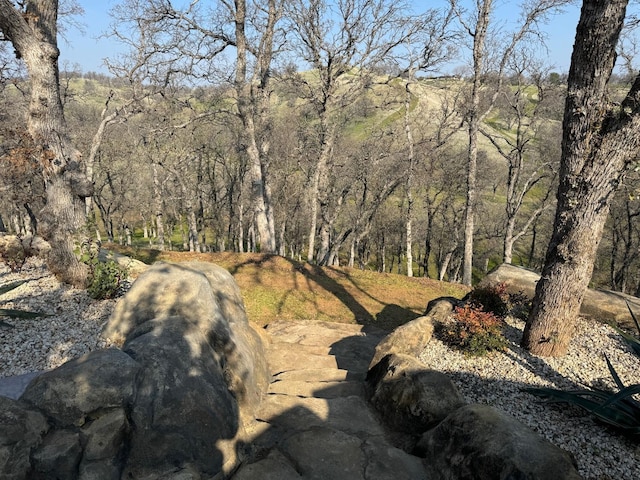 view of nature featuring a view of trees