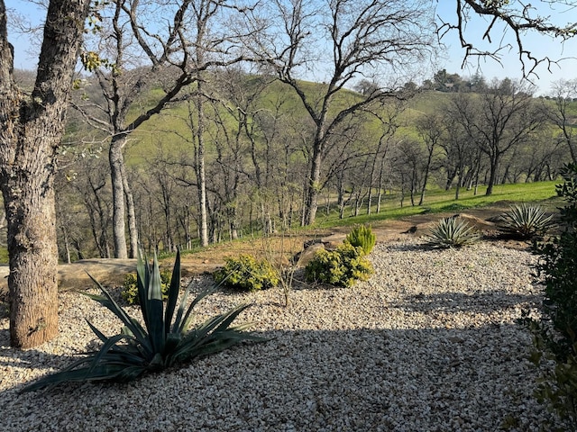 view of yard featuring a view of trees