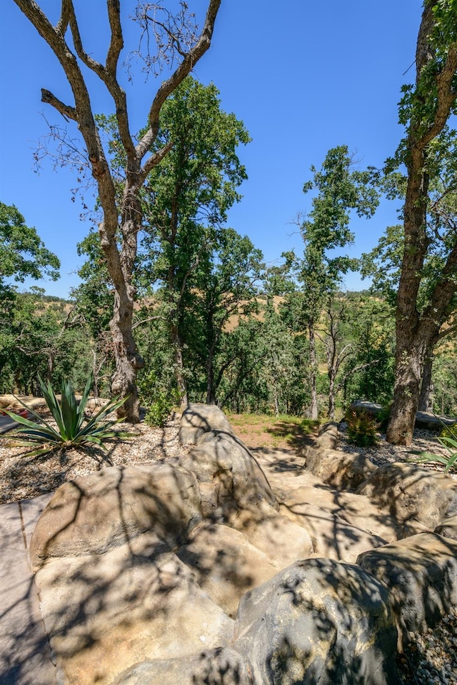 view of nature