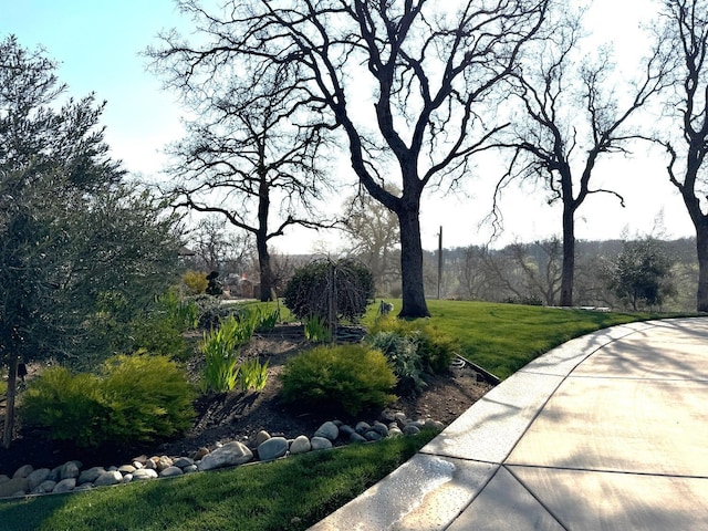 view of property's community with a yard