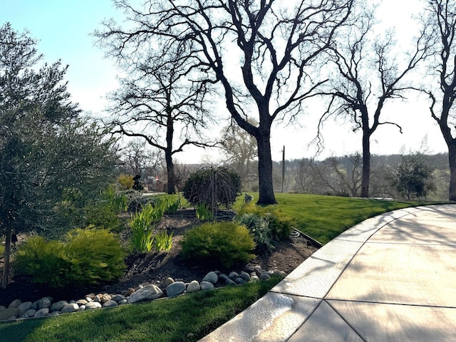view of community with a yard