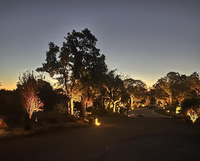 view of nature at dusk