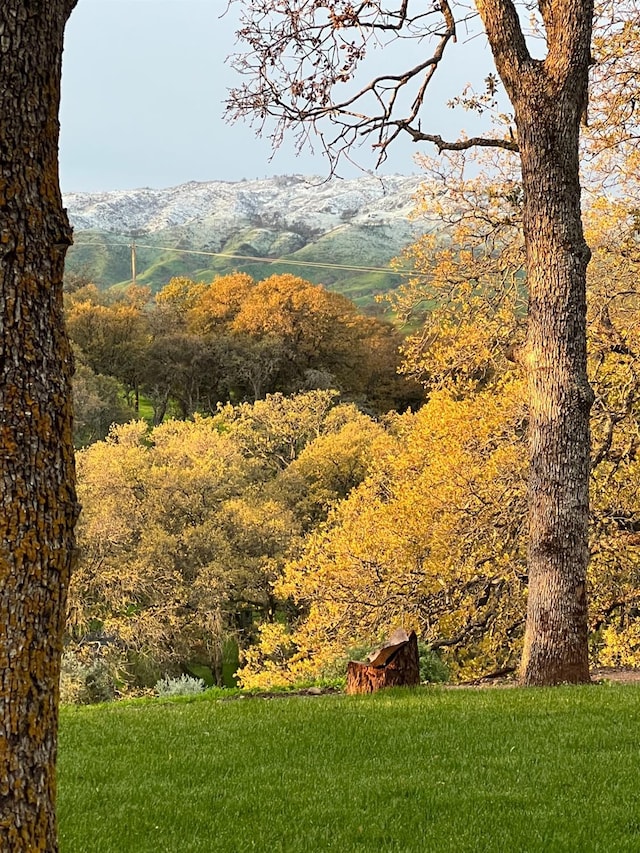 view of mountain feature featuring a view of trees