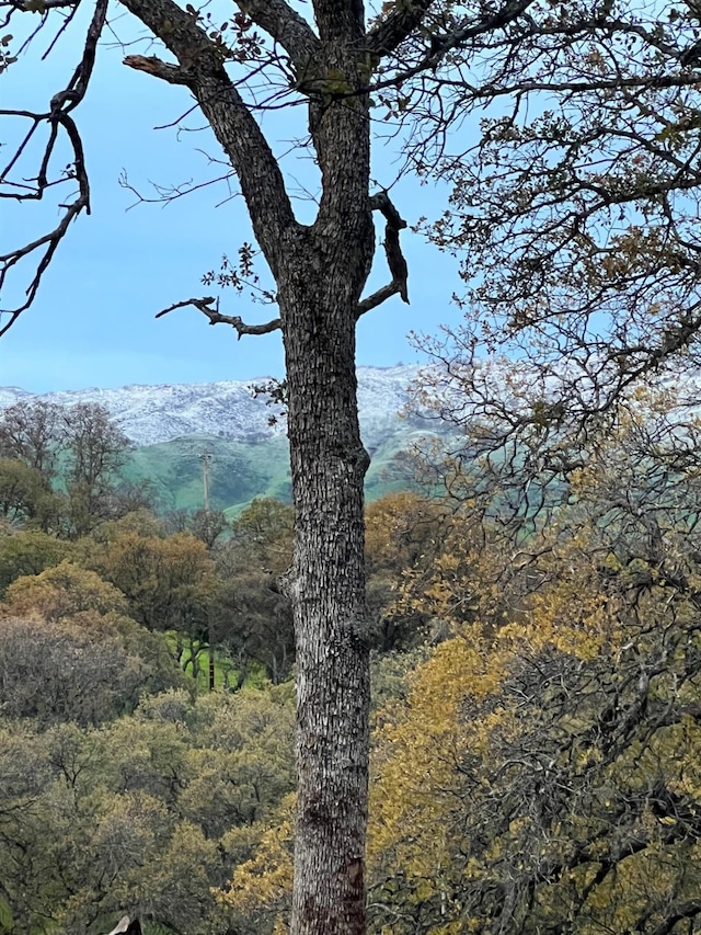 view of mountain feature with a view of trees