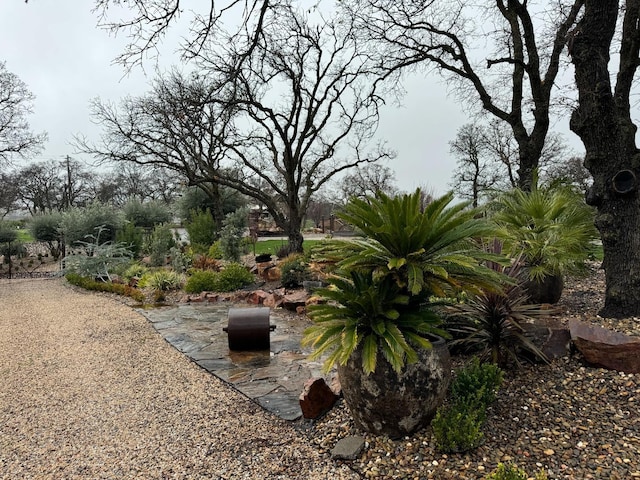 view of community