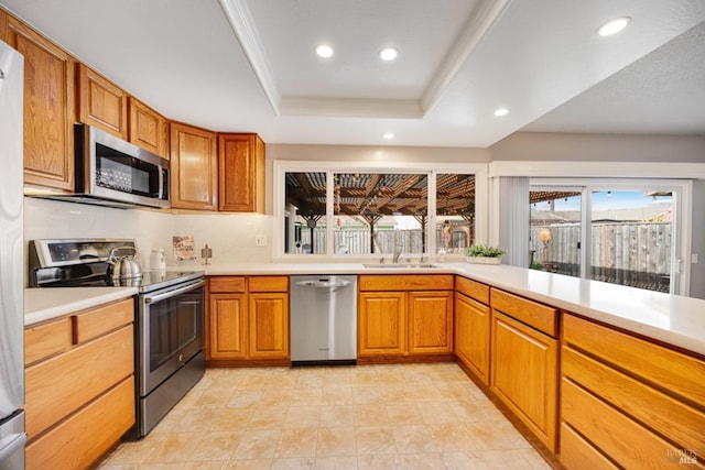 kitchen featuring stainless steel appliances, a tray ceiling, sink, and decorative backsplash