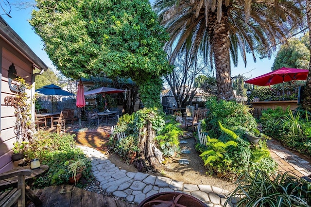 view of yard with a patio