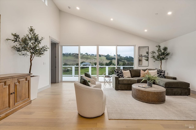 living room featuring high vaulted ceiling and light hardwood / wood-style floors