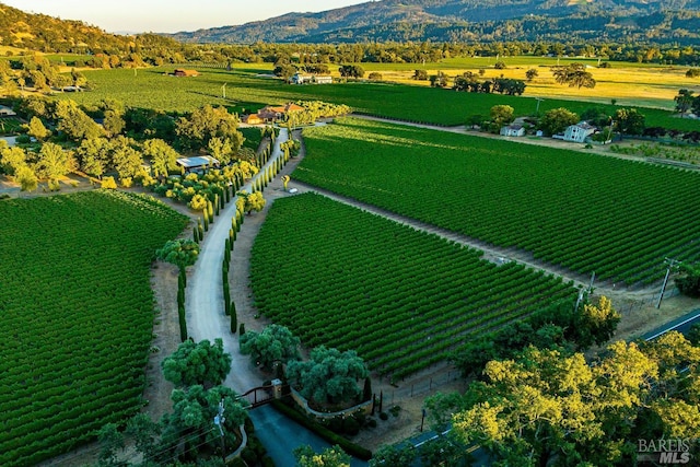 birds eye view of property featuring a rural view