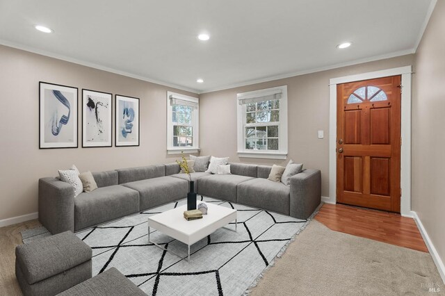 living room featuring ornamental molding and light hardwood / wood-style flooring