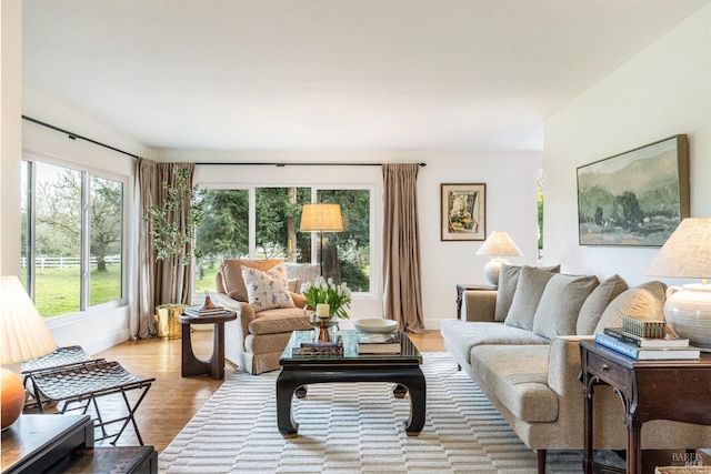 living room with light hardwood / wood-style flooring